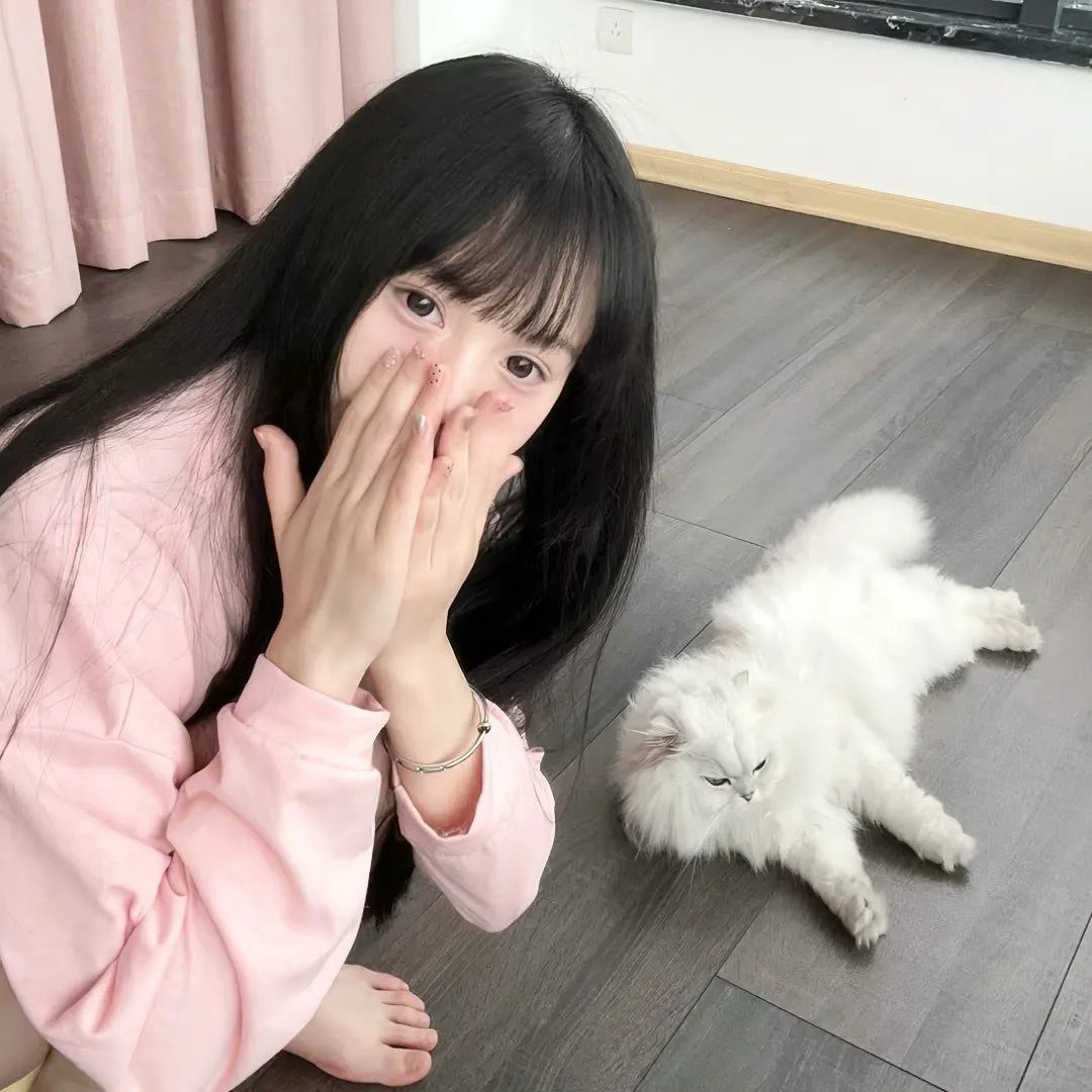 老鼠龙之猛龙过港