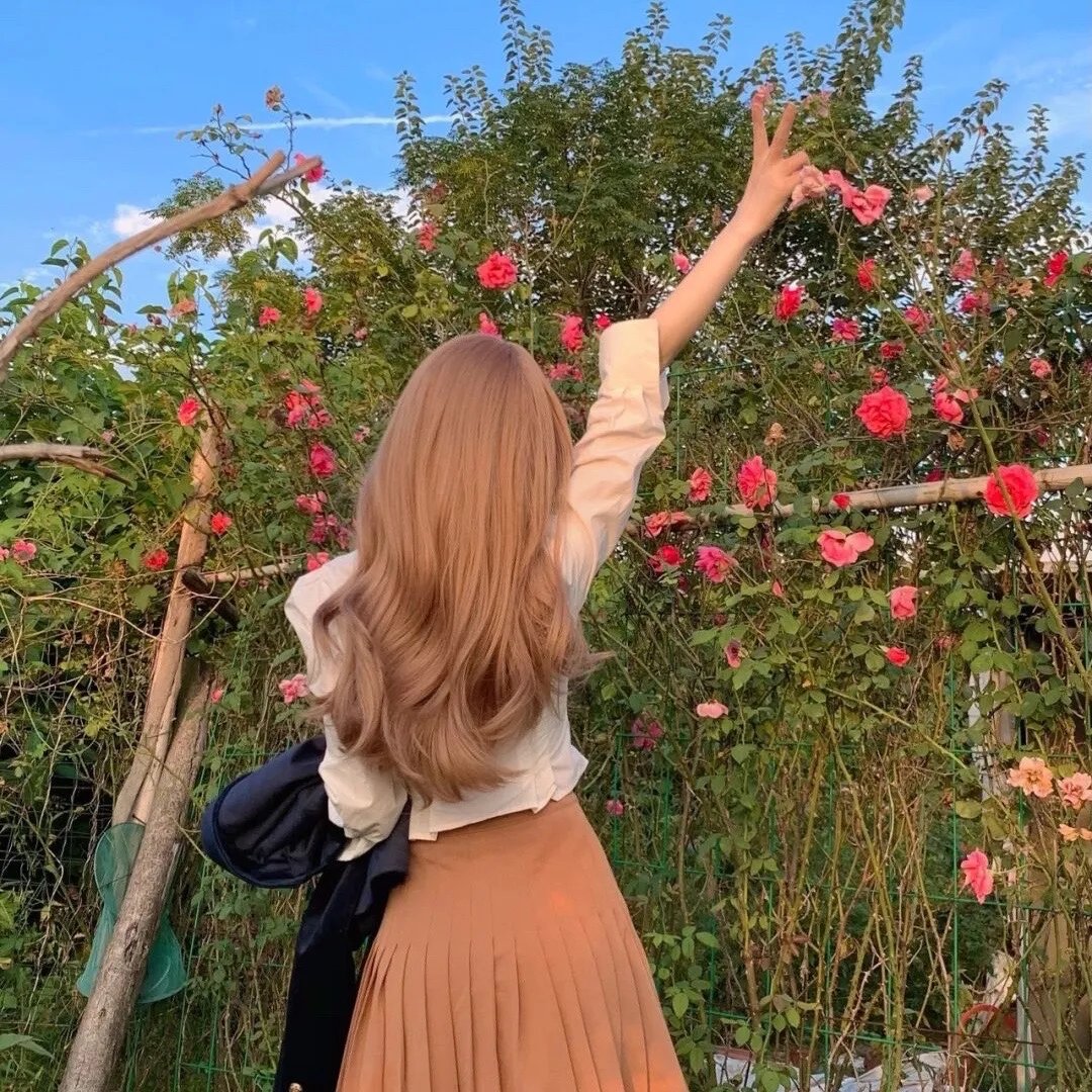 楚留香新传之影子传奇